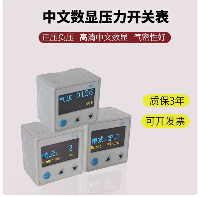 真空數(shù)顯壓力表DP101.PNG